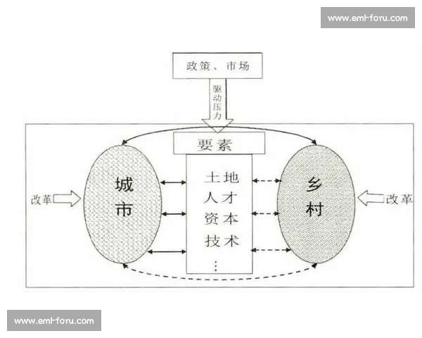 以持续关注为核心构建长期价值驱动的深度观察与实践路径